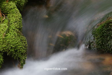 Ruta de senderismo rio da Fraga - Moa�a. 