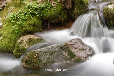 Sendero R�o da Fraga