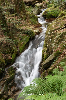 Ruta de senderismo rio da Fraga - Moaña.