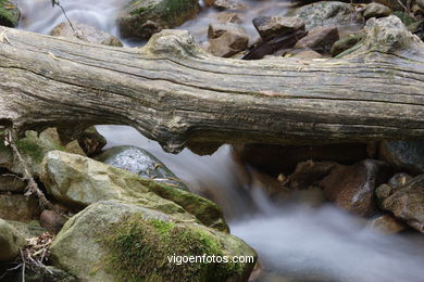 Ruta de senderismo rio da Fraga - Moaña.