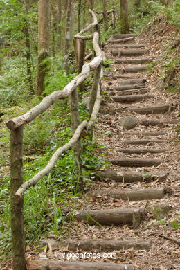 Ruta de senderismo rio da Fraga - Moaña.