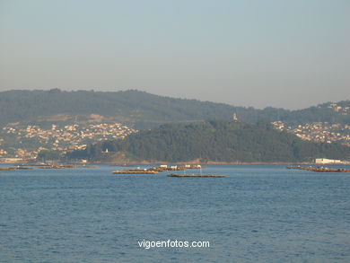 Vistas desde Domaio - Moa�a. 