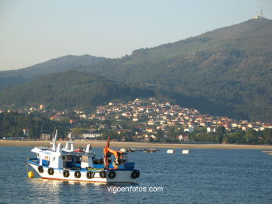 Vistas desde Domaio - Moa�a. 