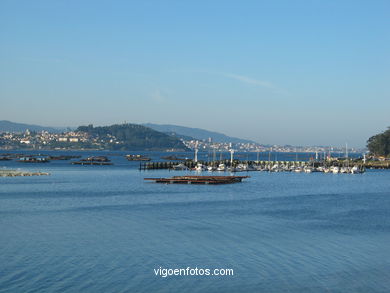 Vistas desde Moaña.