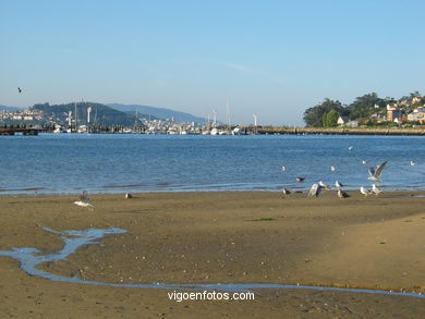 Vistas desde Moaña.