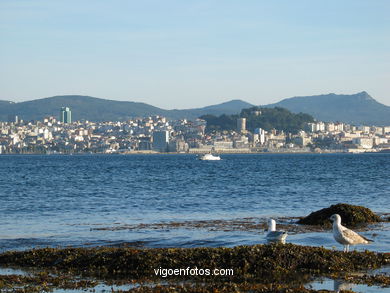Vistas desde Moaña.