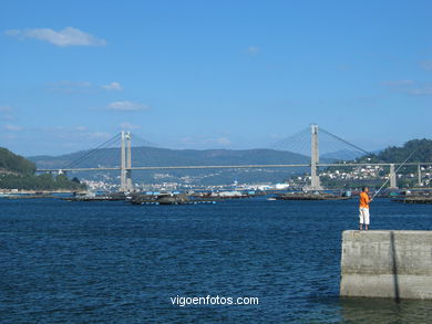 Puerto de Domaio. 