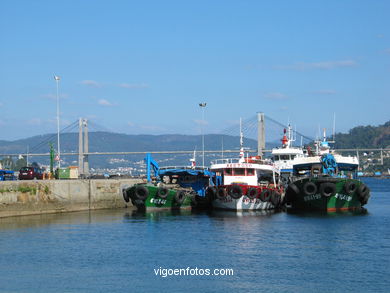 Puerto de Domaio - Moa�a. 