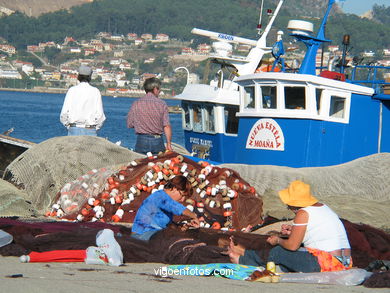 Puerto de Moa�a - Moa�a. 