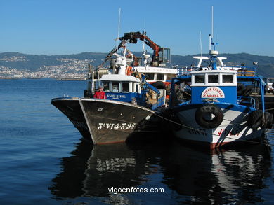 Puerto de Moa�a - Moa�a. 
