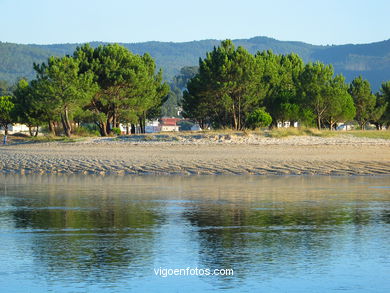 Marismas del Mi�or - Nigr�n. 