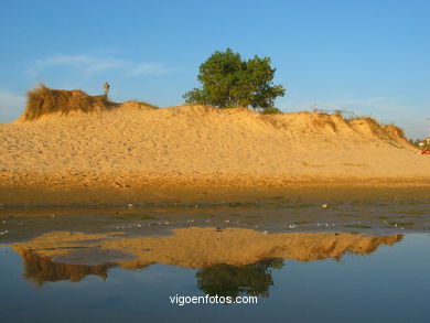 Marismas de Panx�n - Nigr�n. 