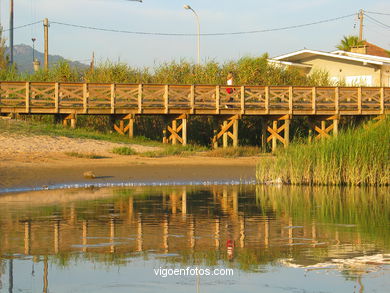 Marismas de Panx�n - Nigr�n. 