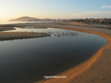 Marismas de Panx�n - Nigr�n. 