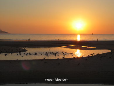 Marismas de Panx�n - Nigr�n. 