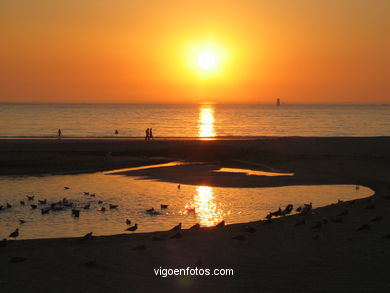 Marismas de Panx�n. 