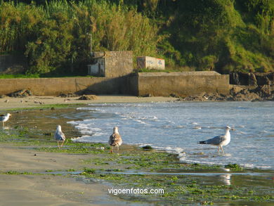 Playa de la Madorra - Nigr�n. 
