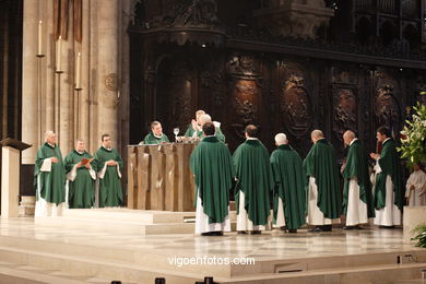 Catedral de Notre Dame - La Cité - París - Gárgolas - Paris - Viaje. Fotos e imágenes de París..