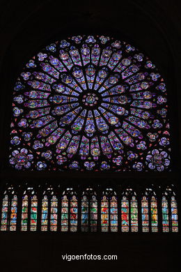 Catedral de Notre Dame - La Cit� - Par�s - G�rgolas - Paris - Viaje. Fotos e im�genes de Par�s.. 