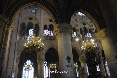 Catedral de Notre Dame - La Cit� - Par�s - G�rgolas - Paris - Viaje. Fotos e im�genes de Par�s.. 