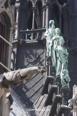 Catedral de Notre Dame - La Cit� - Par�s - G�rgolas - Paris - Viaje. Fotos e im�genes de Par�s.. 