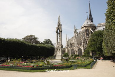 Catedral de Notre Dame - La Cit� - Par�s - G�rgolas - Paris - Viaje. Fotos e im�genes de Par�s.. 