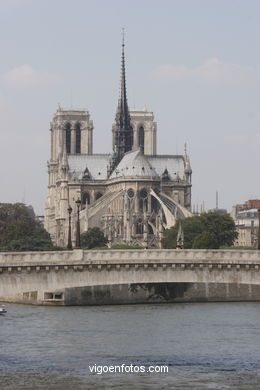 Catedral de Notre Dame - La Cit� - Par�s - G�rgolas - Paris - Viaje. Fotos e im�genes de Par�s.. 