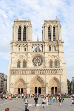 Catedral de Notre Dame - La Cit� - Par�s - G�rgolas - Paris - Viaje. Fotos e im�genes de Par�s.. 