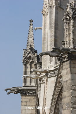 Gargoyles of the Cathedral of Notre Dame - La Cité - Paris - Images and pics of travels and trips..
