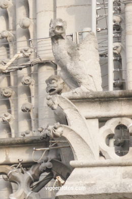 Gárgolas de Notre-Dame (Fotos).