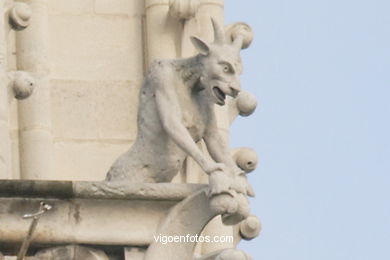 Gargoyles of the Cathedral of Notre Dame - La Cit� - Paris - Images and pics of travels and trips.. 