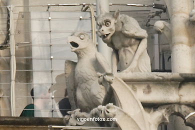 Gárgolas de Notre-Dame (Fotos).