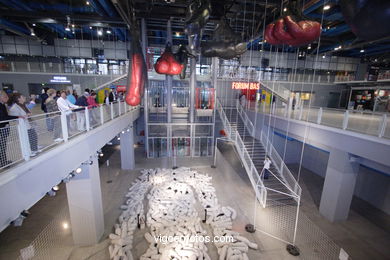 Museo Pompidou - Centre - Paris - Renzo Piano, Richard Rogers y Gianfranco Franchini, los arquitectos del Centro Georges Pompidou.. 
