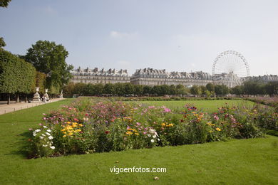 Jardines de las Tuileries - París - Jardin des Tuileries - Jardin du Carrousel - París - Viaje. Fotos e imágenes de París..