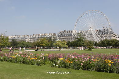 Tuileries Garden - Jardin des Tuileries - Jardin du Carrousel - Paris - Images and pics of travels and trips. France.
