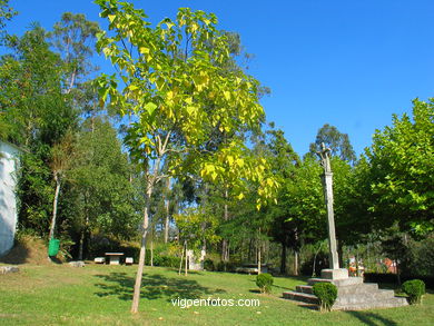 Parque do Loureiro. 