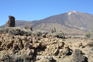 Parque Nacional del Teide. 