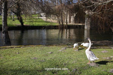 Parque do Portovello. 