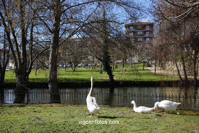 Parque do Portovello. 