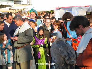 FALCONRY. DEMONSTRATION IN THE FESTIVAL arrival - BAIONA