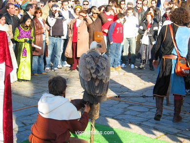 FALCONRY. DEMONSTRATION IN THE FESTIVAL arrival - BAIONA