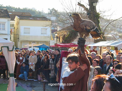 FALCONRY. DEMONSTRATION IN THE FESTIVAL arrival - BAIONA