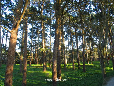 Fortaleza Monte Boi  (siglo XI)