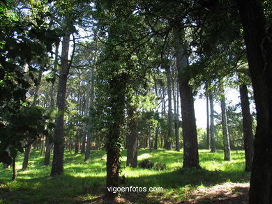 Fortaleza Monte Boi  (siglo XI)