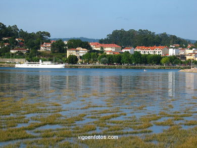 MARISMAS RIO MIÑOR - BAIONA