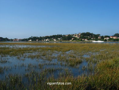 MARISMAS RÍO MIÑOR - BAIONA