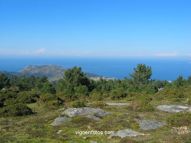 PARQUE FORESTAL DA LAGOA - BAIONA