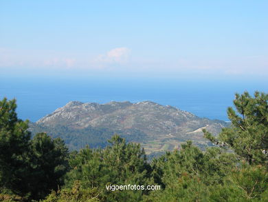 LAGOA DA FOREST PARK - BAIONA