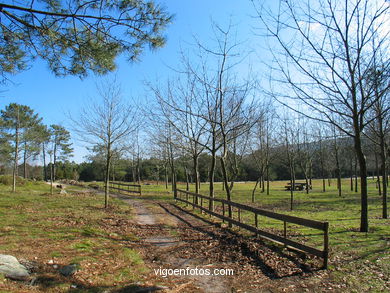 Forest Park da Lagoa