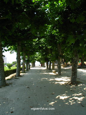 PASEO DE LA PALMA (BAIONA)